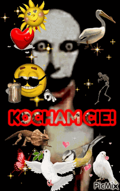 Goofy Ahh Picmix GIF