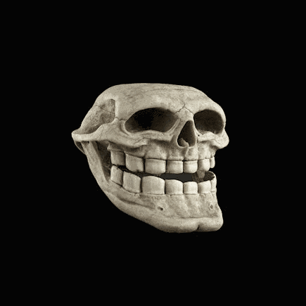 Goofy Skull Skull Goofy Meme