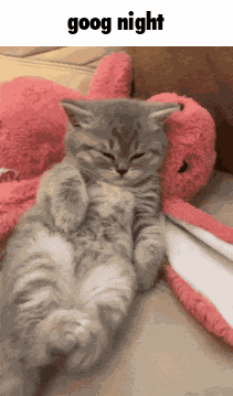 Goog Good Night GIF