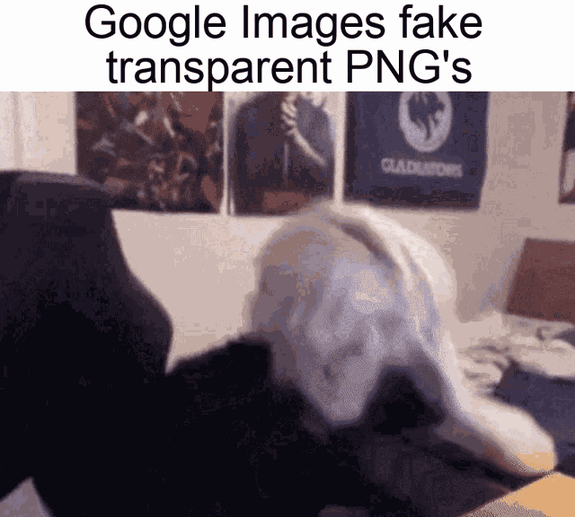 Google Jpeg GIF