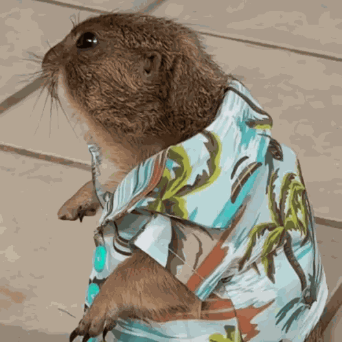 Gopher Hawaiian Shirt GIF