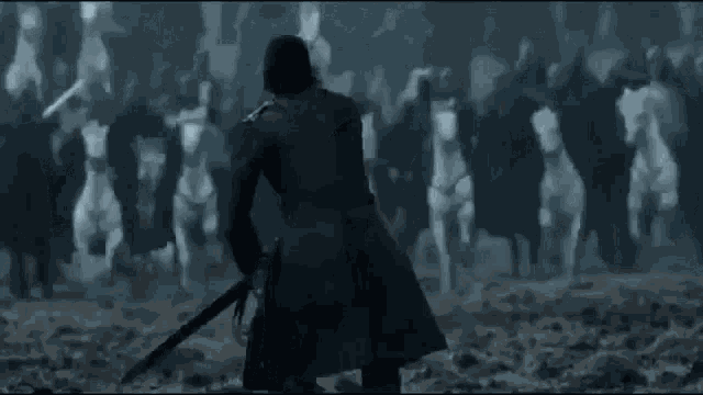 Got Jon Snow GIF