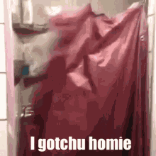 Gotchu Homie GIF