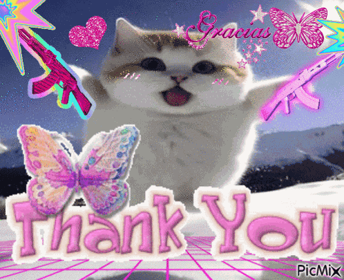 Gracias Thank You GIF