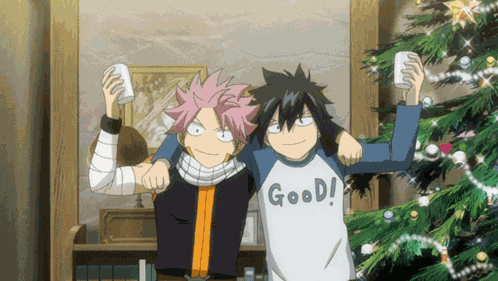 Gray Gray Fullbuster GIF