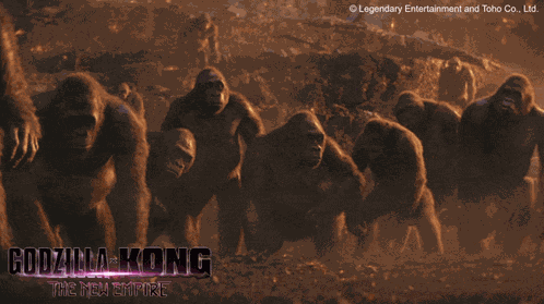 Great Apes Teaser Meme