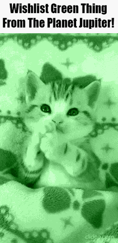 Green Thing From The Planet Jupiter Cat Gif GIF