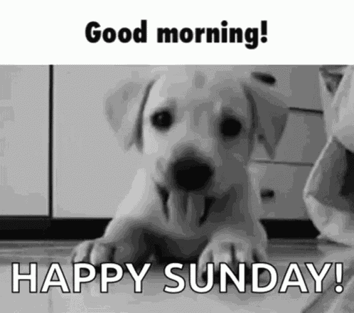 Greeting Puppy GIF