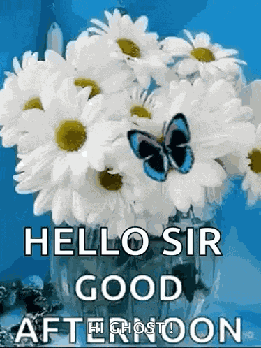 Greetings Good Afternoon GIF