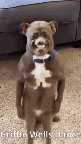 Griffin Wells GIF