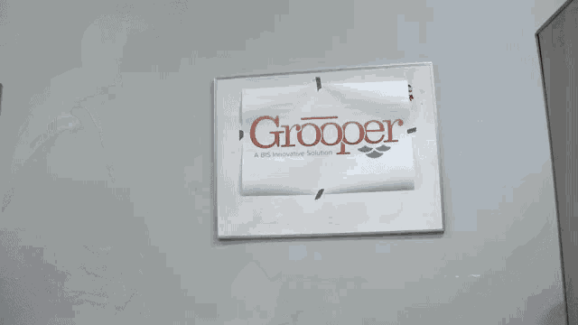 Grooper Grooper It GIF