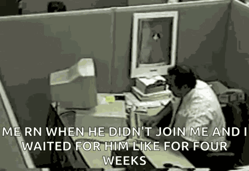 Guaton Computadora GIF