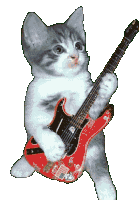 Guitar Cat Sticker