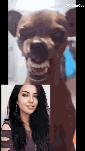 Gulay1616 GIF