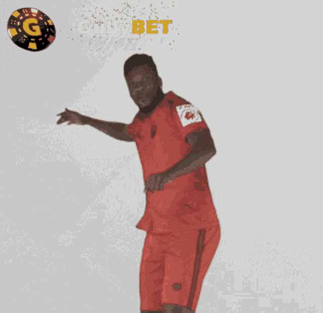 Gullybet Cricket GIF