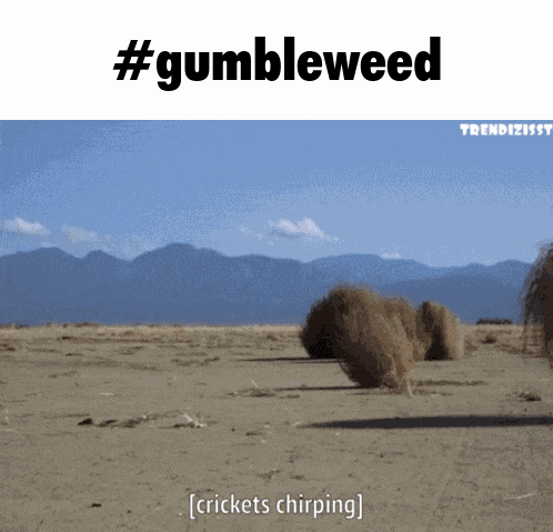 Gumbleweed Tumbleweed GIF