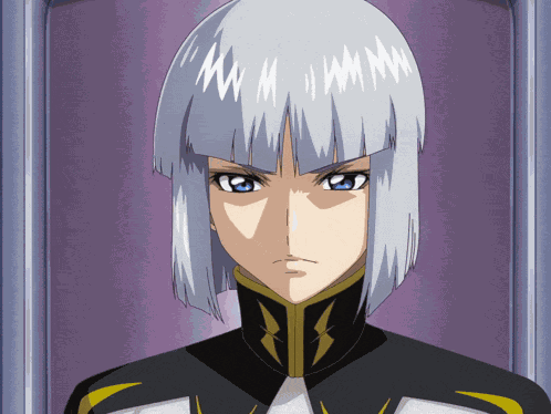 Gundam Gundam Seed GIF