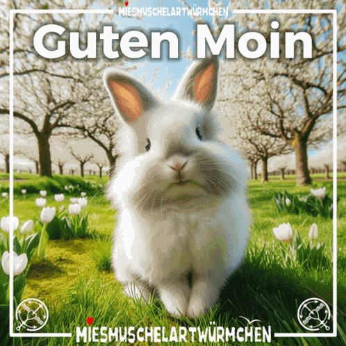 Guten Moin Hug GIF