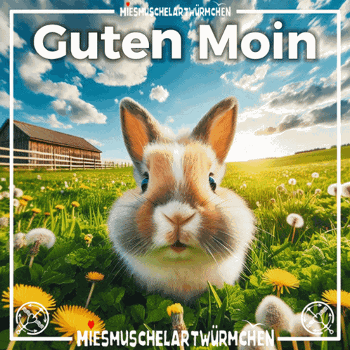 Guten Morgen Good Morning GIF