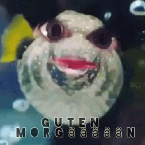 Guten Morgen GIF