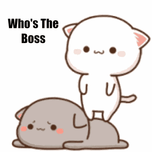 Habiba And Salim Who'S The Boss GIF