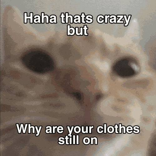 Haha Thats Crazy But Why Are Your Clothes Still On Meme