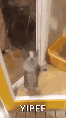 Hai GIF