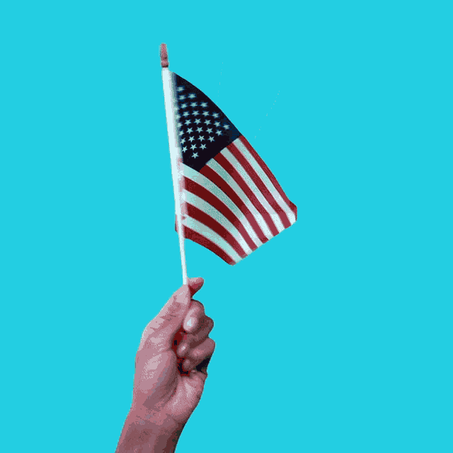 Halive2022 American Flag GIF