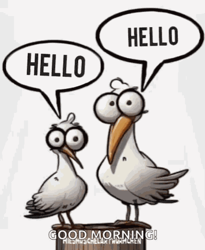 Hallo Moin GIF