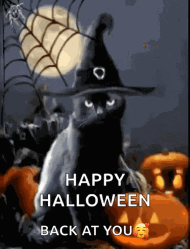 Halloween Blackcats GIF