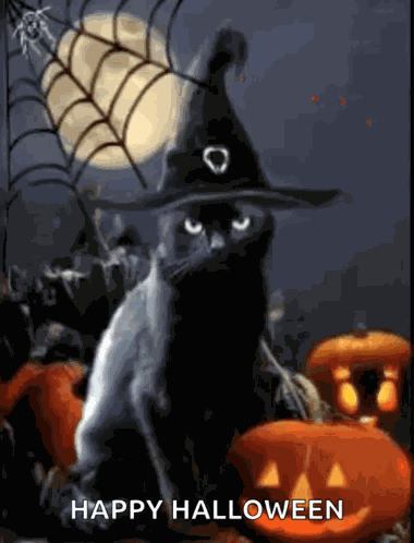 Halloween Cat GIF