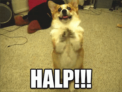 Halp GIF