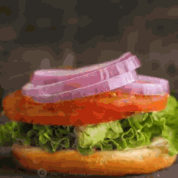 Hamburger Burgers GIF