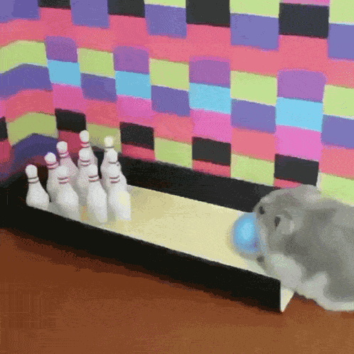 Hamster Bowling GIF