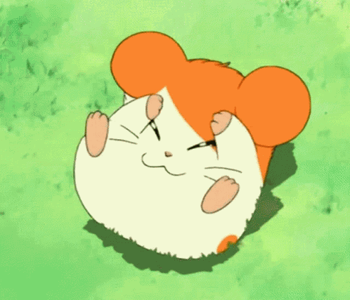 Hamster Cute GIF