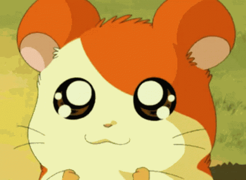 Hamtaro Hamster GIF