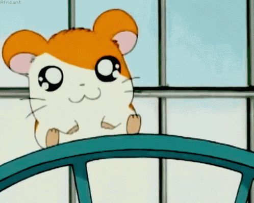 Hamtaro Hamster GIF