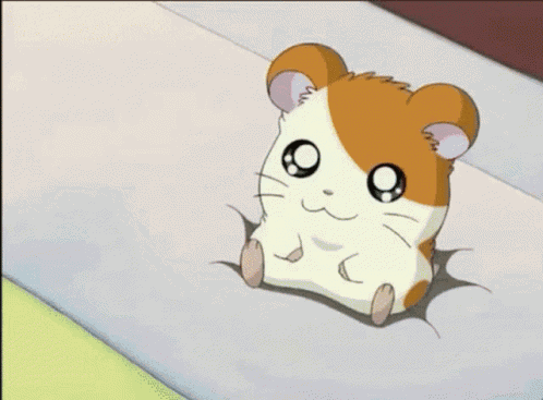 Hamtaro GIF