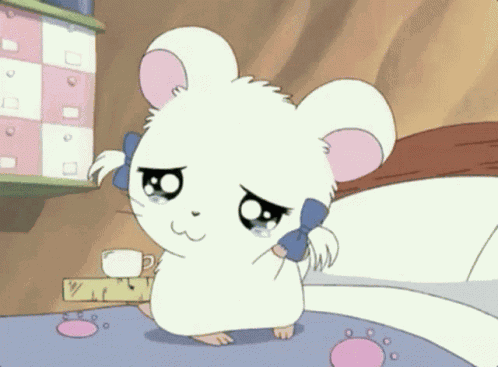 Hamtaro GIF