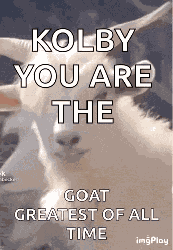 Handsome Goat GIF