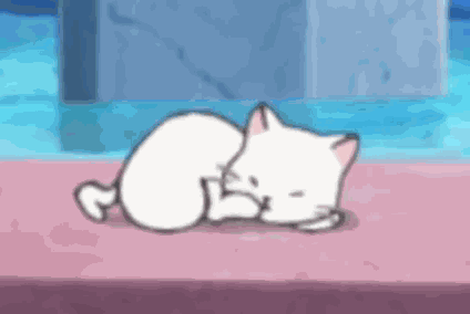 Hanpen Cat GIF