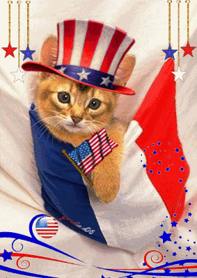 Happy 4th Of July GIF