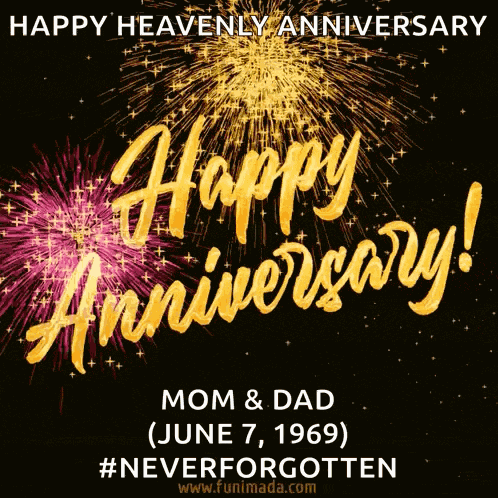 Happy Anniversary Fireworks GIF