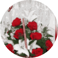 Happy Anniversary Many More Years Sticker