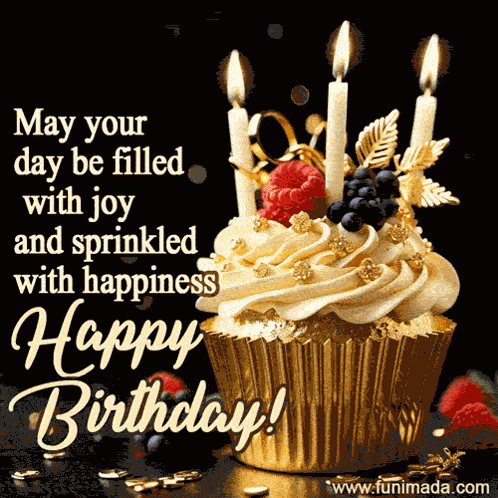 Happy Birthday B'Day GIF
