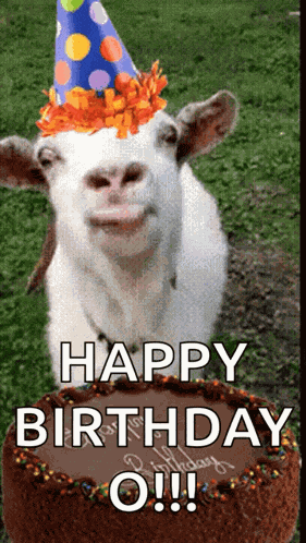 Happy Birthday Birthday Cake GIF