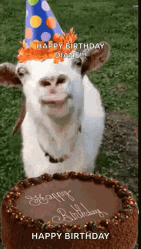 Happy Birthday Birthday Cake GIF