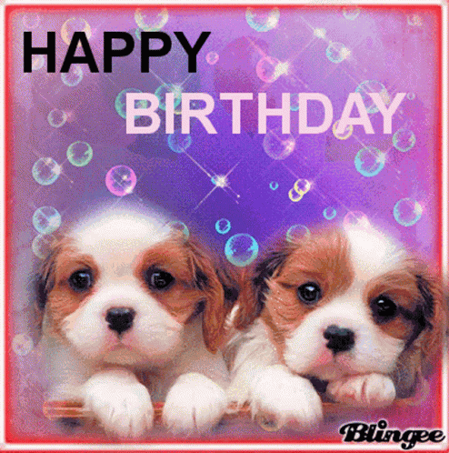 Happy Birthday Birthday GIF