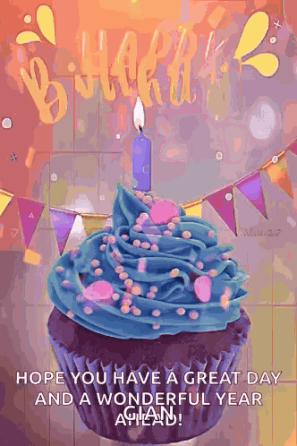 Happy Birthday Birthday Wishes GIF