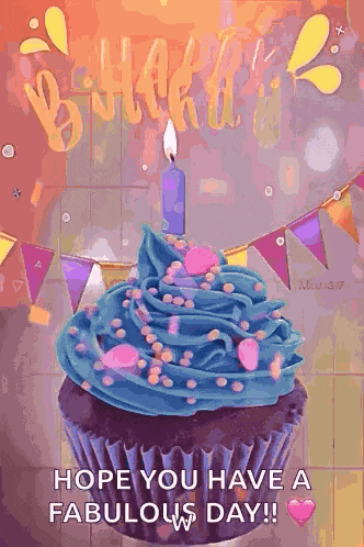 Happy Birthday Birthday Wishes GIF
